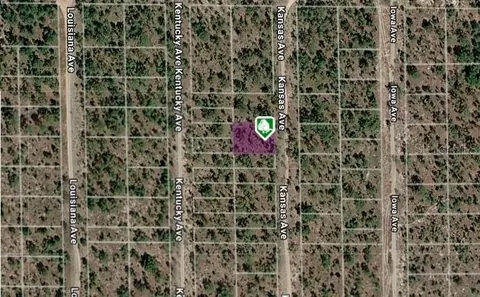 lot8 And 9 Kansas Ave, Hawthorne, FL 32640