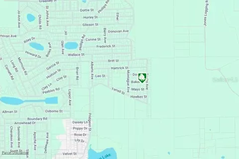 lot8 Baker St, Interlachen, FL 32148 photo 3