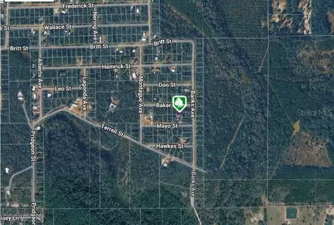 lot8 Baker St, Interlachen, FL 32148 photo 4