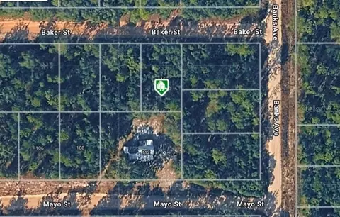 lot8 Baker St, Interlachen, FL 32148