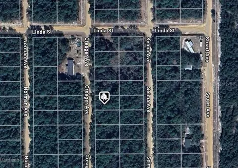 lot5 Creager Ave, Interlachen, FL 32148