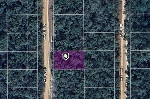 lot8 Gloria Ave, Interlachen, FL 32148