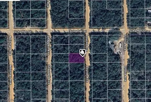 lot22 Louise Ave, Interlachen, FL 32148