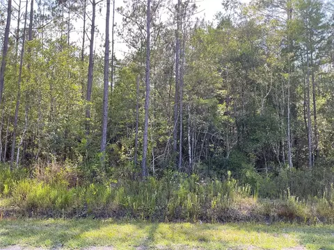 0 Crotty Ave #1, Hastings, FL 32145