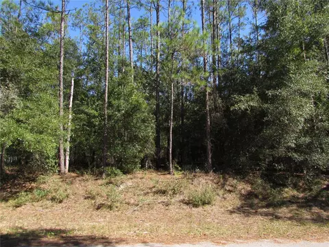 lot13 SW 87th Loop, Dunnellon, FL 34431