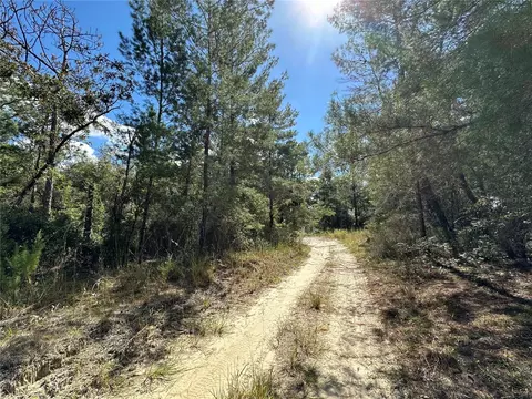 tbd NE 138th Ave, Williston, FL 32696 photo 2