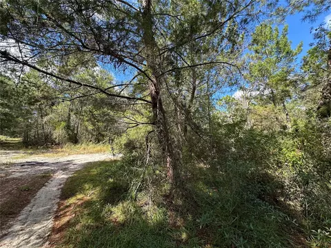 tbd NE 138th Ave, Williston, FL 32696
