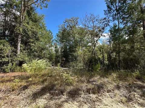 tbd NE 138th Ave, Williston, FL 32696 photo 6