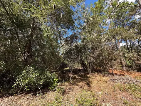 tbd NE 138th Ave, Williston, FL 32696 photo 9