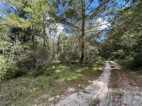tbd NE 138th Ave, Williston, FL 32696 photo 3