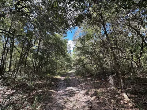 tbd NE 138th Ave, Williston, FL 32696 photo 10
