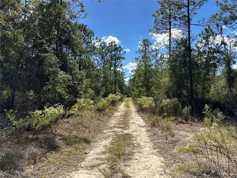 tbd NE 138th Ave, Williston, FL 32696 photo 5