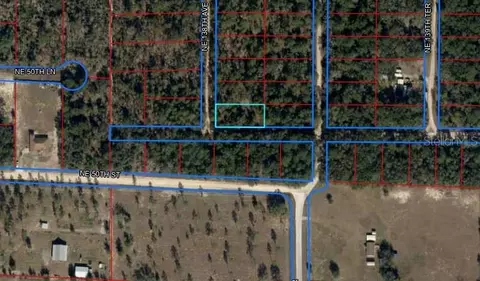 tbd NE 138th Ave, Williston, FL 32696 photo 4