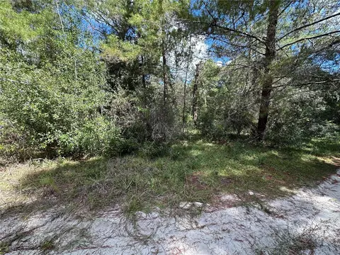 tbd NE 138th Ave, Williston, FL 32696 photo 8