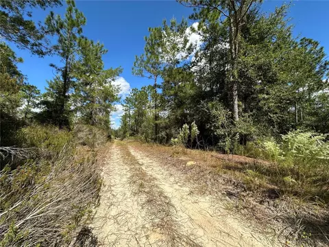 tbd NE 138th Ave, Williston, FL 32696 photo 7