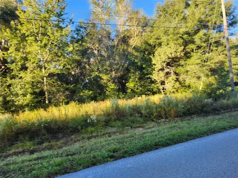 tbd Williow Rd, Ocala, FL 34472