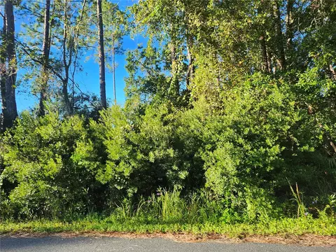 tbd Redwood Track Crse, Ocala, FL 34472
