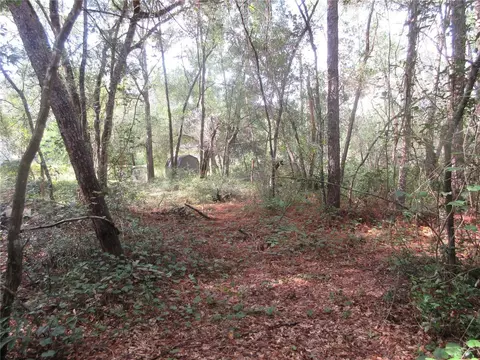 NE 171st Court, Silver Springs, FL 34488