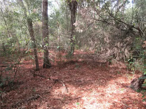 NE 171st Court, Silver Springs, FL 34488