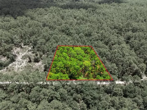 lot02 SW 175th Ter, Dunnellon, FL 34432