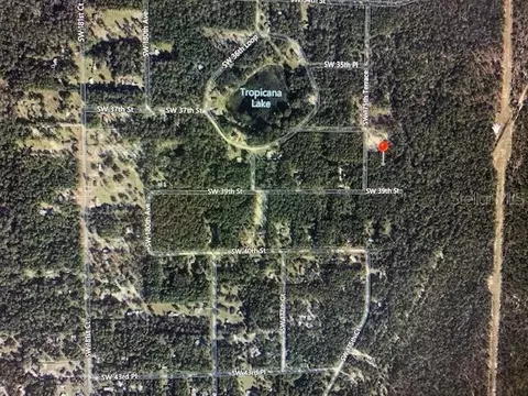 lot02 SW 175th Ter, Dunnellon, FL 34432