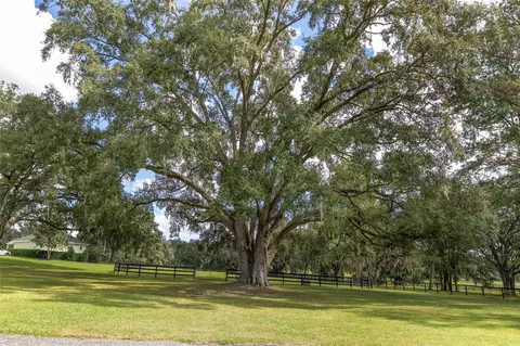 Exterior - 8778 NW 130th St, Reddick, FL 32686 photo 21 of 21