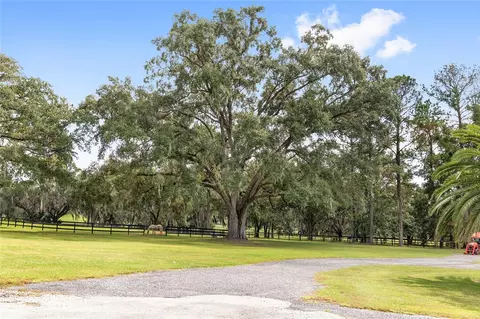 Exterior - 8778 NW 130th St, Reddick, FL 32686 photo 20 of 21