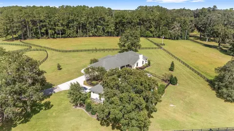 View/Area - 8778 NW 130th St, Reddick, FL 32686 photo 9 of 13