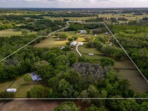 View/Area - 8393 NW 110th St, Reddick, FL 32686 photo 1 of 5