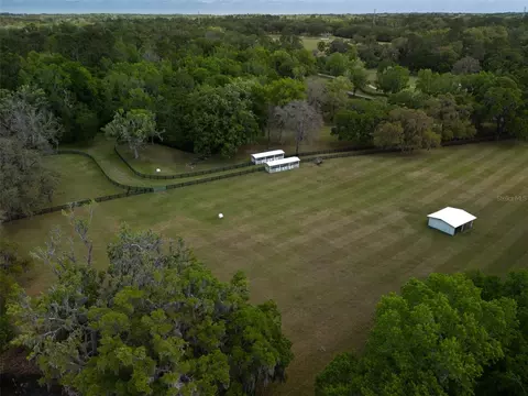 View/Area - 8393 NW 110th St, Reddick, FL 32686 photo 4 of 5