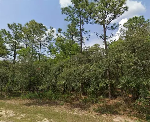 lot3 SW 144th Ln, Ocala, FL 34473