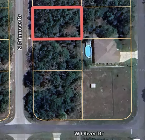 7711 N Primrose Dr, Citrus Springs, FL 34434