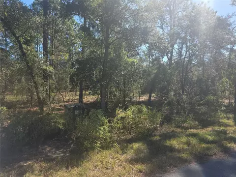 lot30 NW Holly Rd, Dunnellon, FL 34431