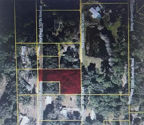 tbd NE 107th Ct, Fort Mc Coy, FL 32134