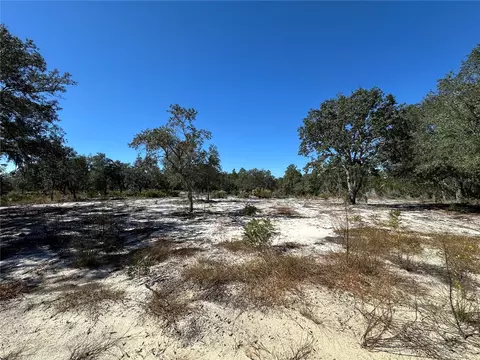 tbd NE 100th Ave, Bronson, FL 32621