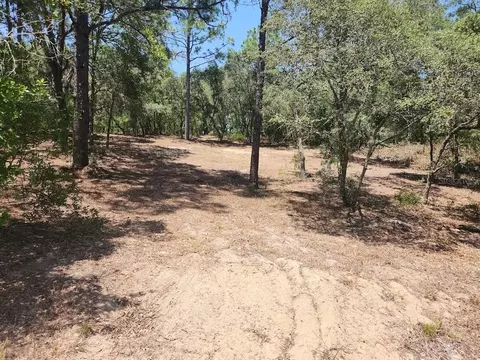 lot18 SW Pine Bluffs Rd, Dunnellon, FL 34432
