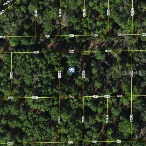 7334 W Contentment Ln, Dunnellon, FL 34433