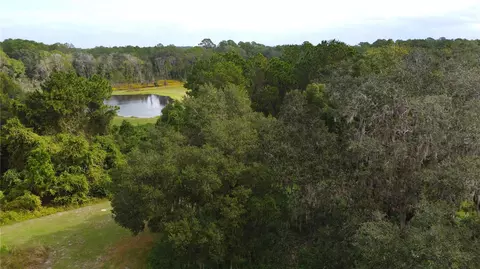 11701 SE Highway 464, Ocklawaha, FL 32179