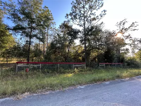 tbd NE 2nd Ln, Williston, FL 32696
