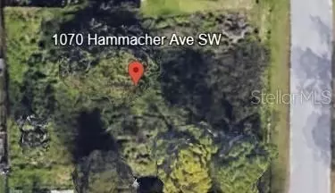 1070 Hammacher Ave SW, Palm Bay, FL 32908