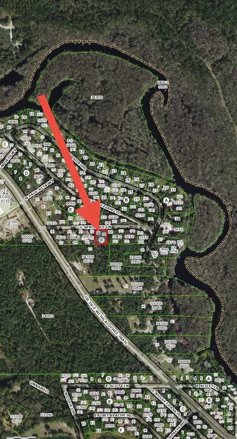 4096 E Seminole Ln, Dunnellon, FL 34434
