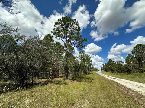 tbd SE 134th Ct, Dunnellon, FL 34431