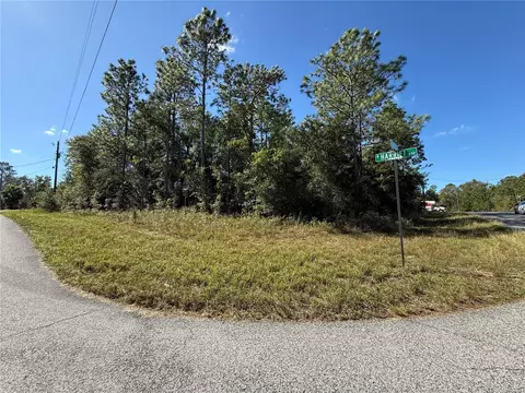 11073 N Haitian Dr, Citrus Springs, FL 34434