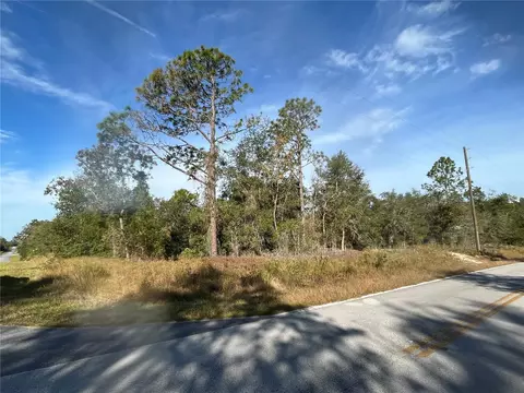00 SW Breezy Point Dr, Dunnellon, FL 34431