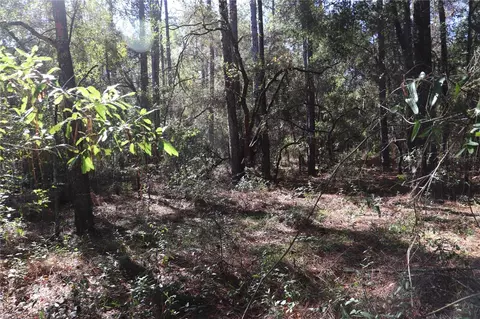 00 SW 39 St, Dunnellon, FL 34432