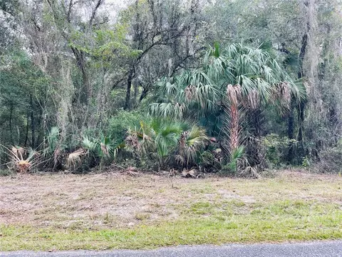 0 NE 245th Street Rd, Fort Mc Coy, FL 32134