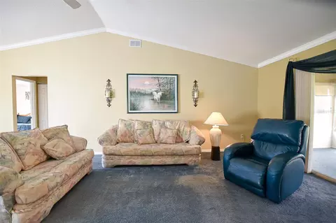 Living - 9033 SE 135th Loop, Summerfield, FL 34491 photo 3 of 5
