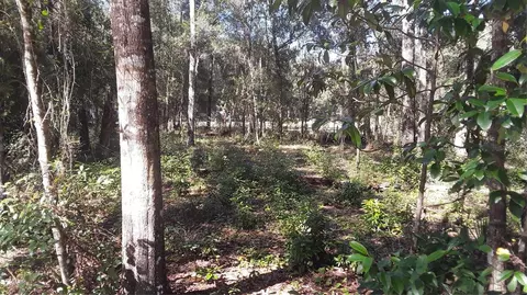 2011 Milton St, Inverness, FL 34453