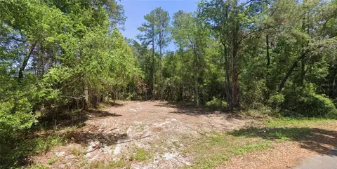 19 Guava Pass Ln, Ocklawaha, FL 32179