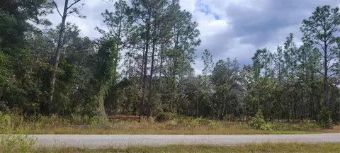0 SW Arrow Leaf Trl, Dunnellon, FL 34431